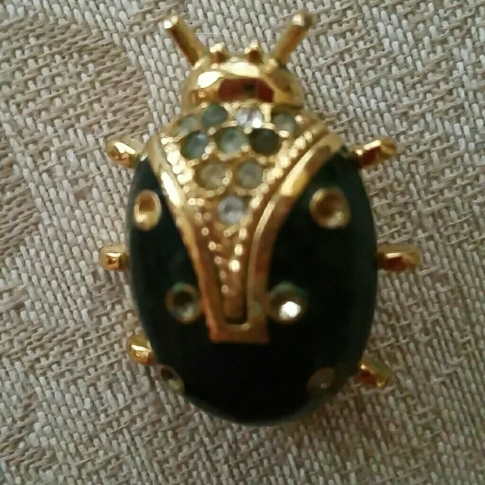 Ladybug  pin